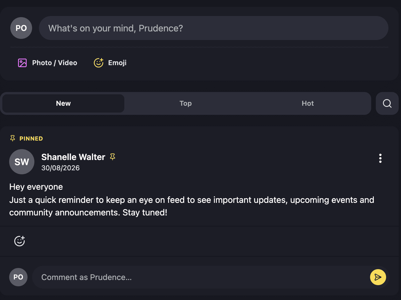 The composer and the same pinned post in the member app on the web